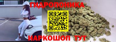 гашик Заволжье