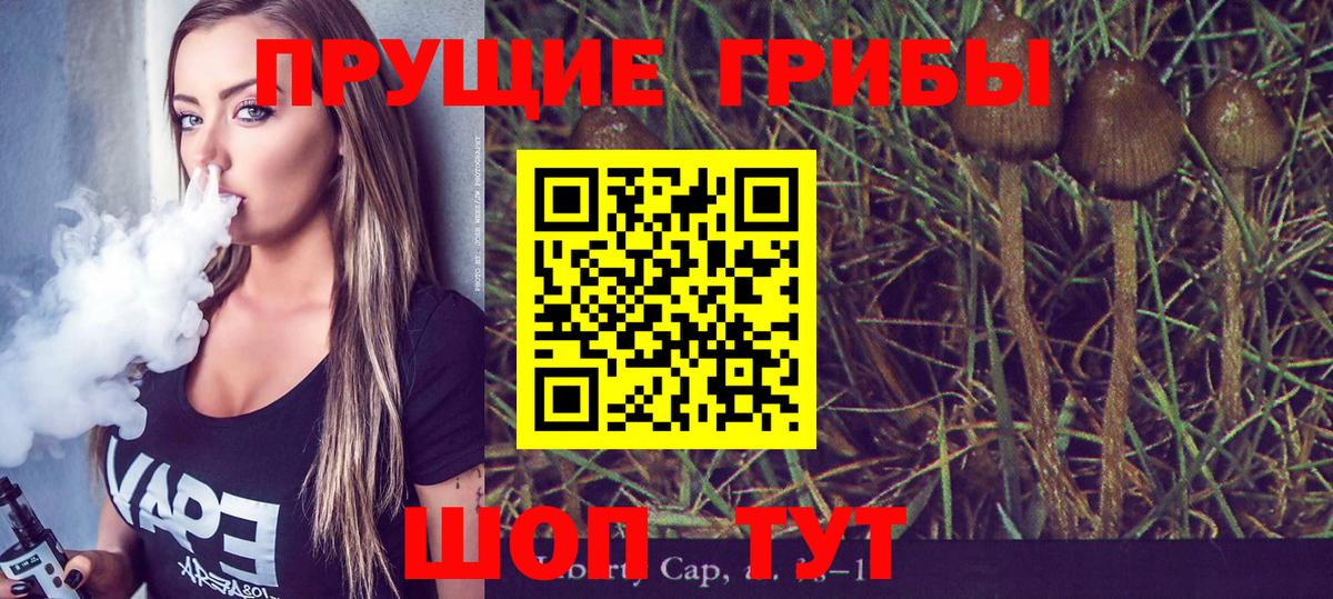 Псилоцибиновые грибы ЛСД Ленинск-Кузнецкий